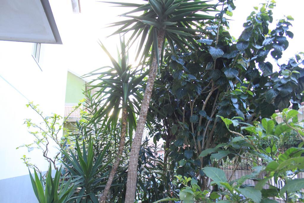 B&B Mimosa Giardini Naxos Exterior photo